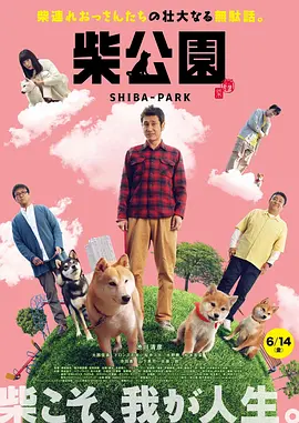 五日式牙衣