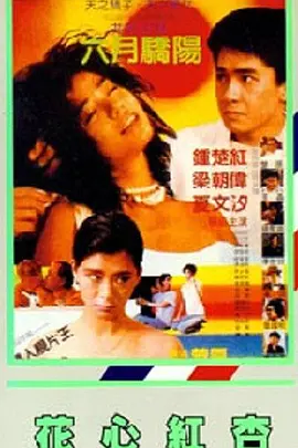 亚洲精品一区二区在线观看