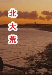 五月婷丁香