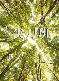三区四区在线视频