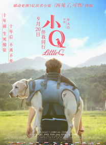婷婷的五月