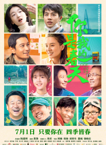 国产免费高清在线精品一区
