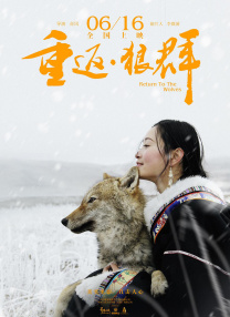 free性护士videos中国